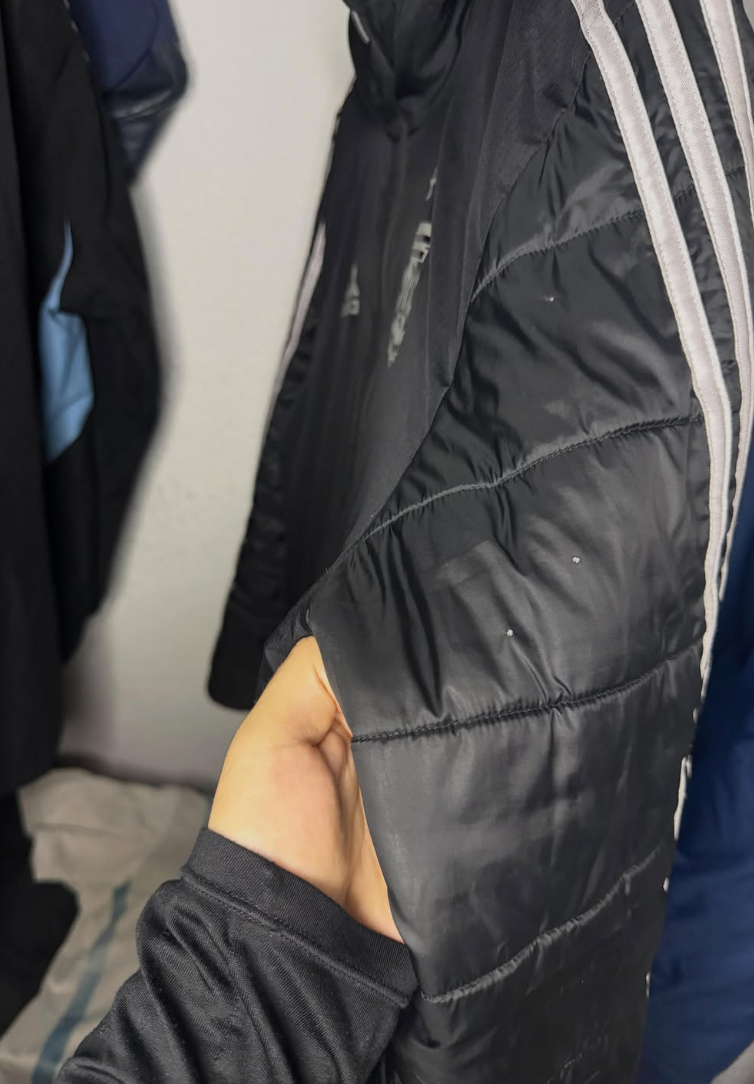 Camperon deportivo Adidas Argentina 2020 (L)