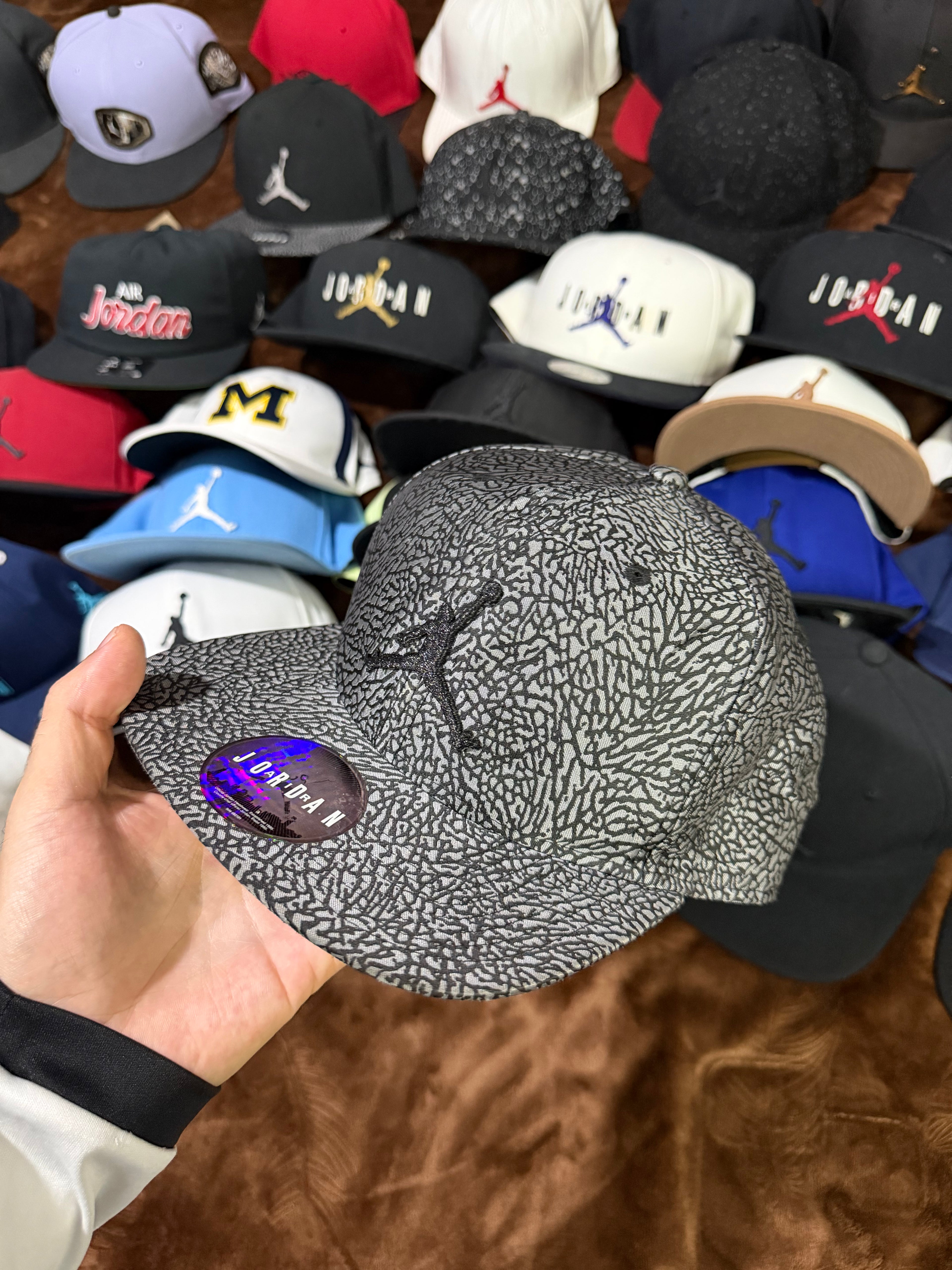 Gorra Jordan Jumpman Elephant Print