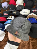 Gorra Jordan Jumpman Elephant Print