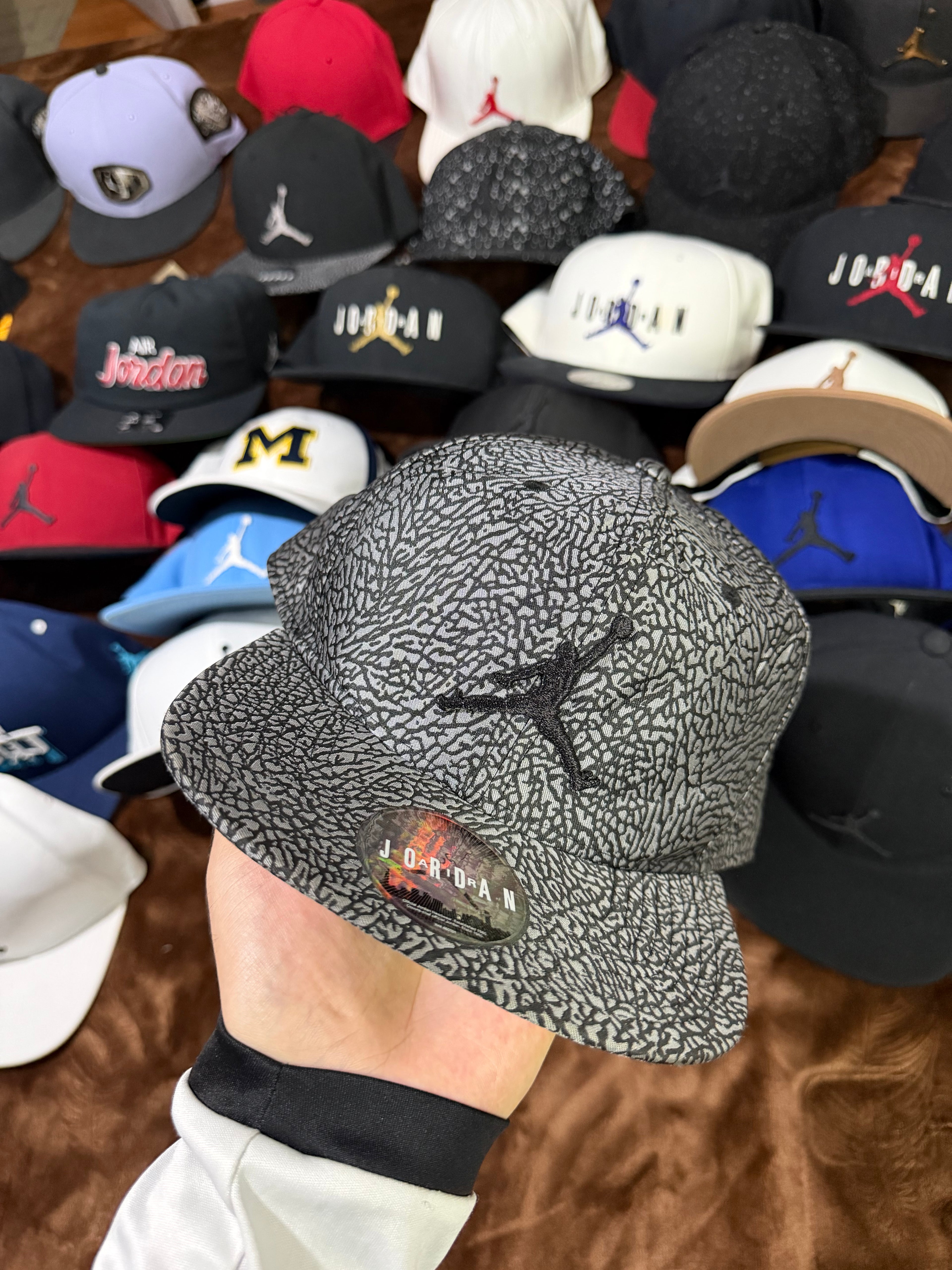 Gorra Jordan Jumpman Elephant Print
